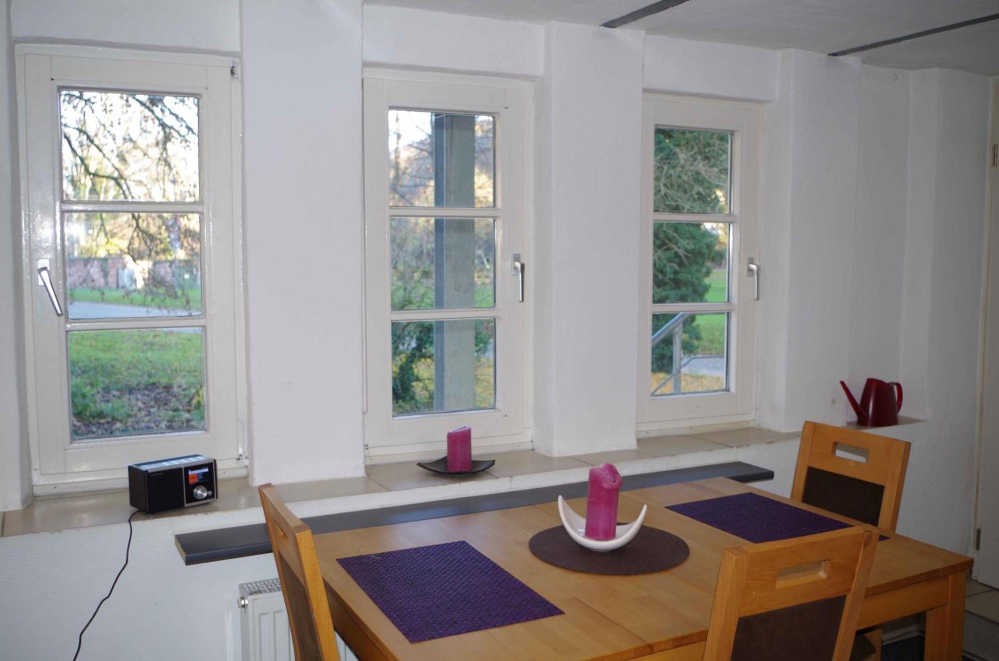 Ferien-Wohnung Am Menzer-Park Neckargemünd Екстериор снимка